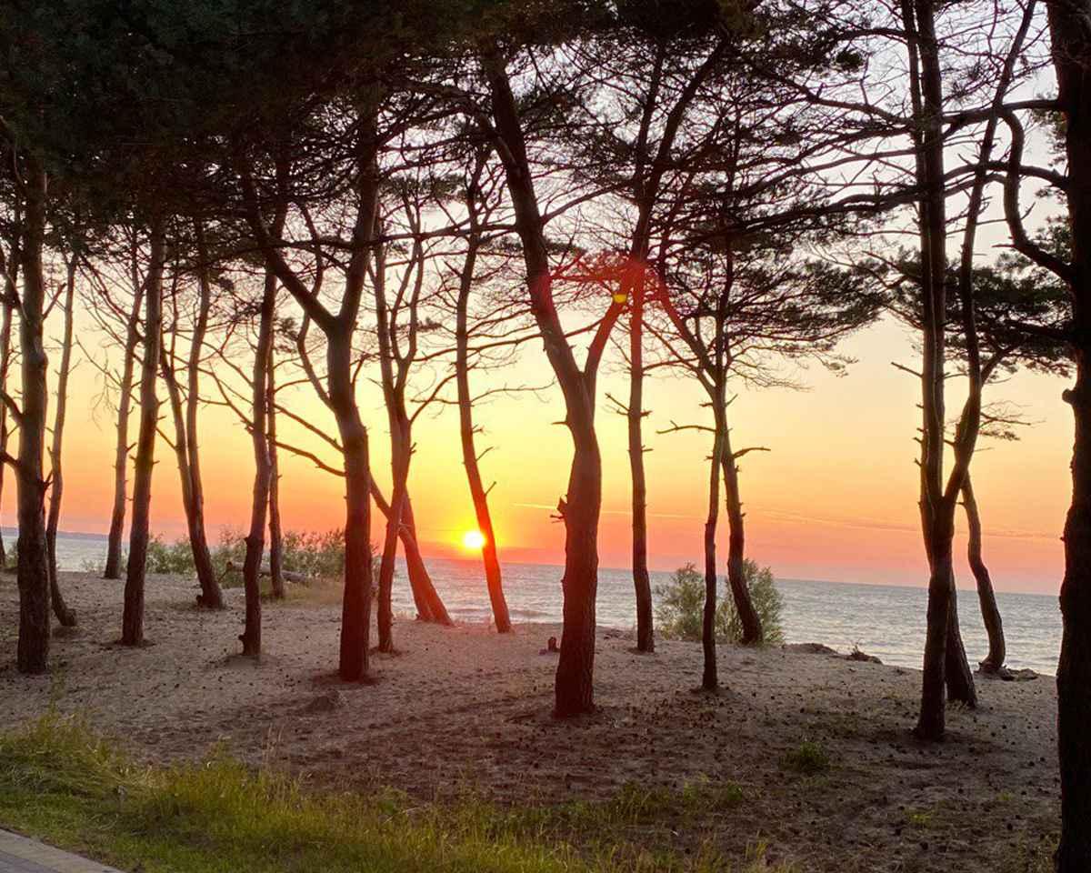 Пляж в Калининграде Куликово Зеленоградск